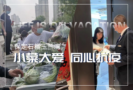 2024新澳门原料大全1688